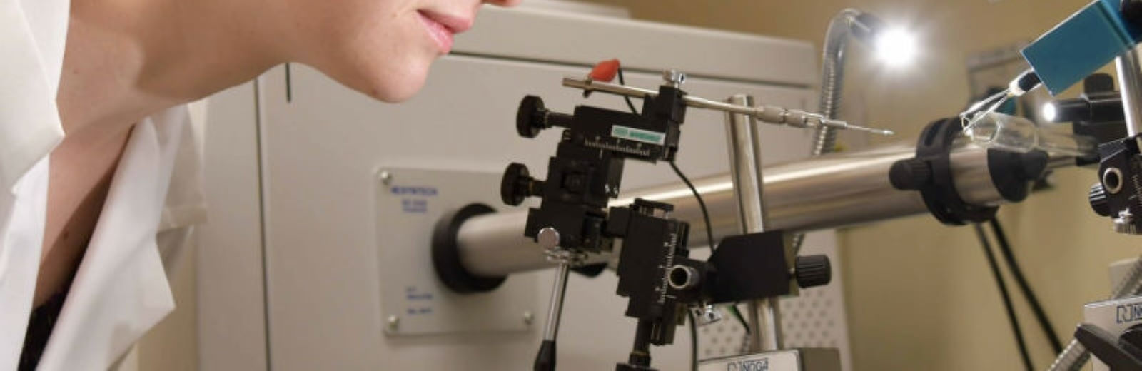 Scientist looking into a microscope