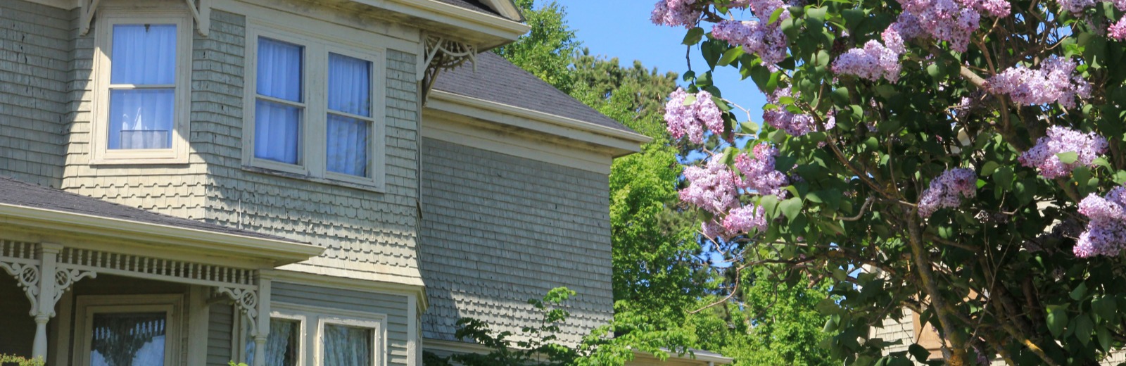 Home with lilac bush