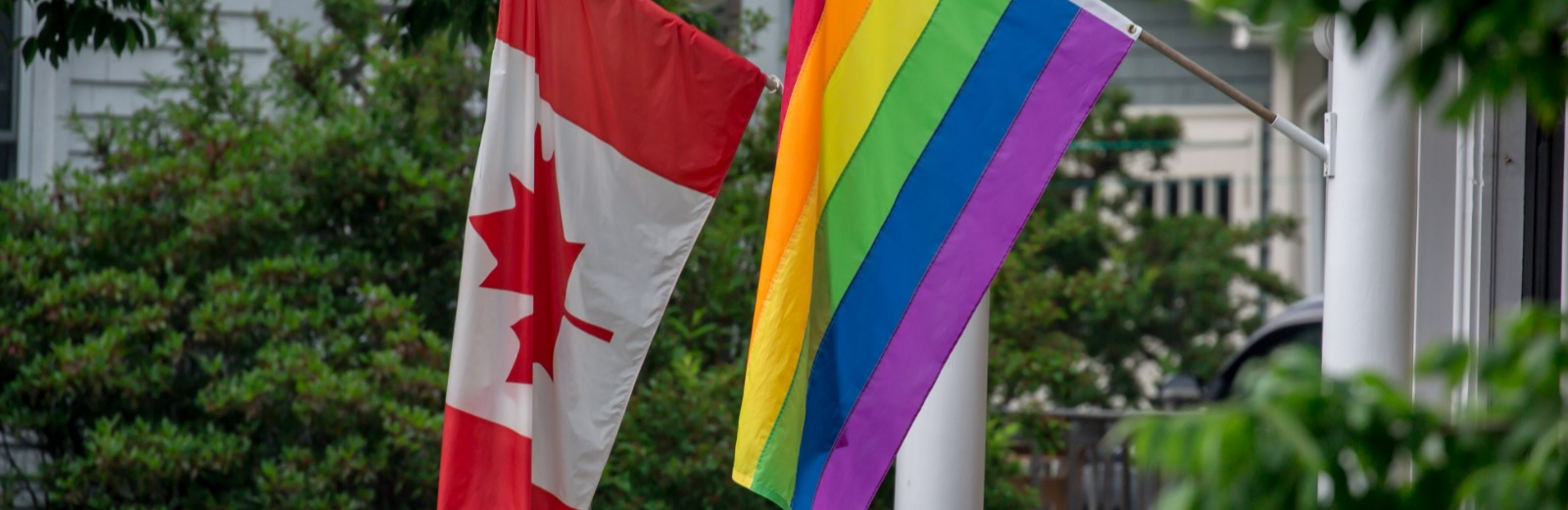 Canadian flag and pride flag