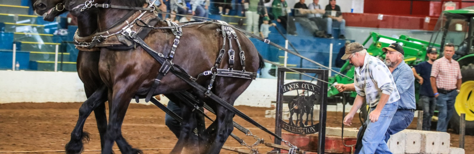 Horse pull at Hants County Exhibition