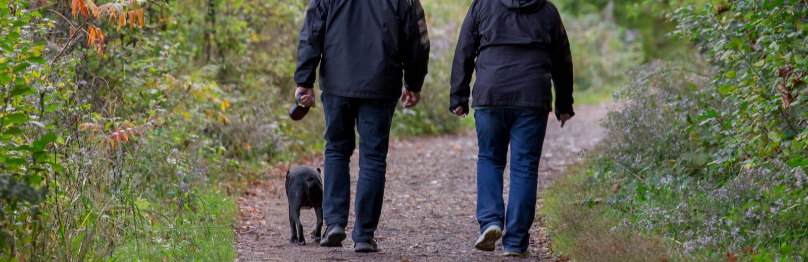 Couple walking a dog on a trail
