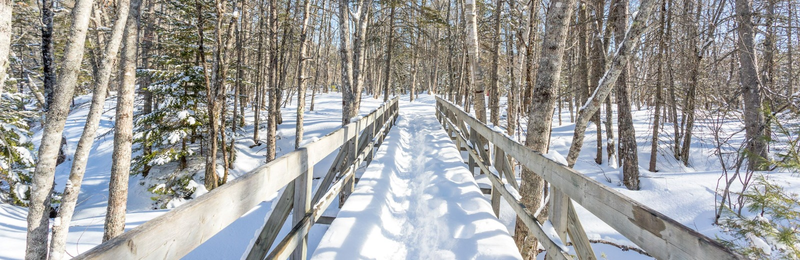 Walking bridge on a trail in the winter