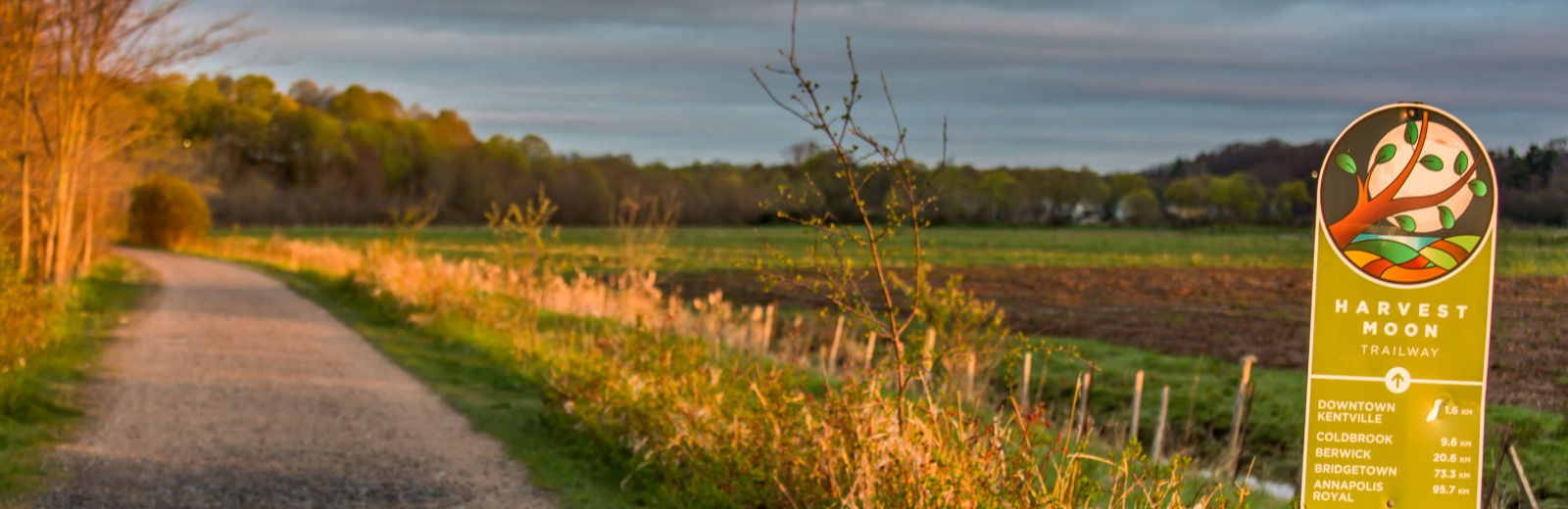 Empty trail next to a field